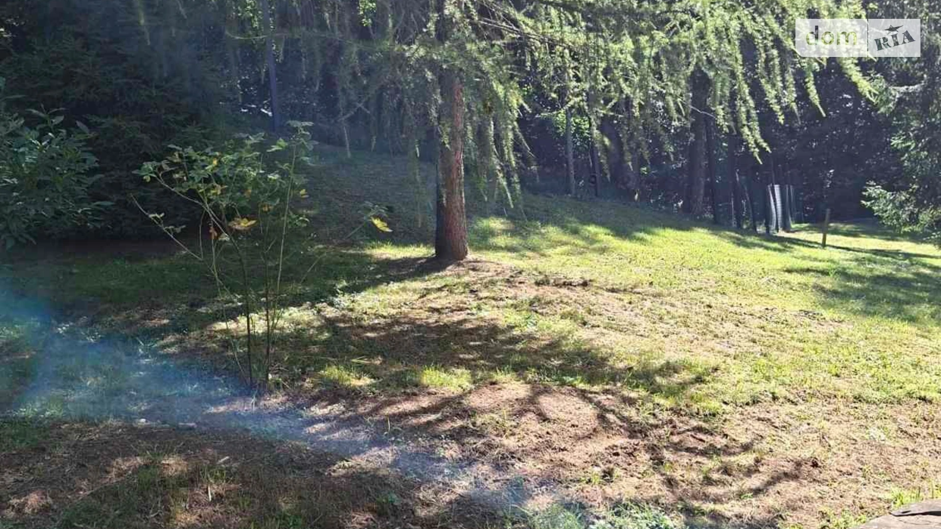 Синяк, цена: 43937 грн - фото 2