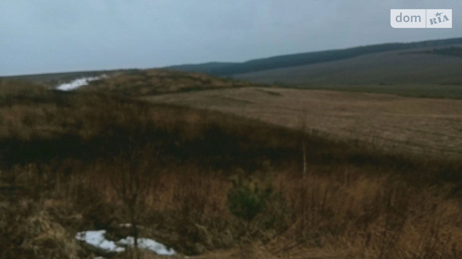 Сдается в аренду земельный участок 10.6937 соток в Ровенской области, цена: 30116 грн - фото 2