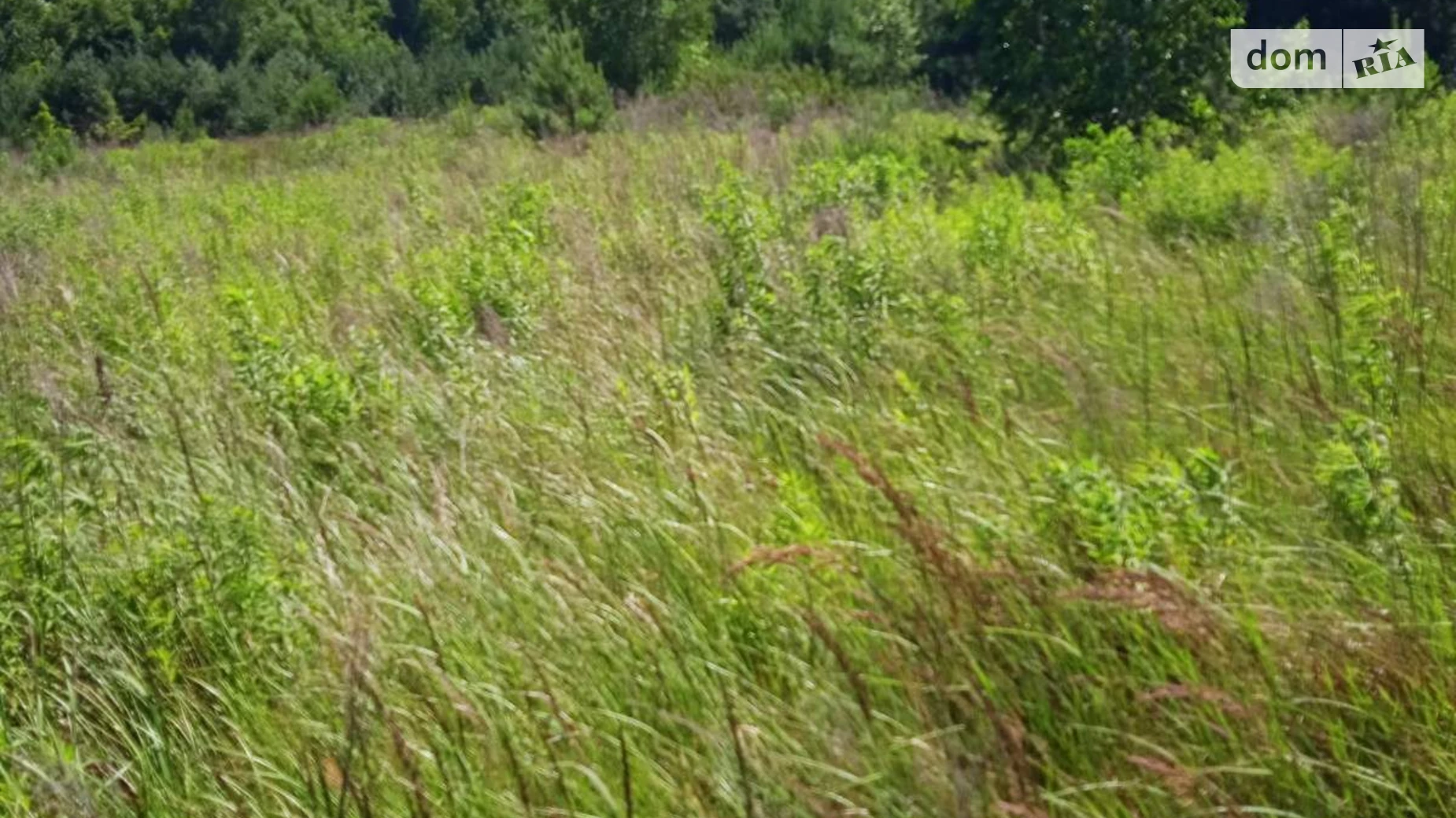 Здається в оренду земельна ділянка 13.9767 соток у Волинській області, цена: 43058 грн - фото 2