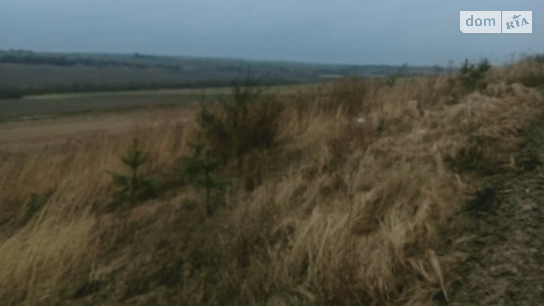 Сдается в аренду земельный участок 10.6937 соток в Ровенской области, цена: 30116 грн - фото 3