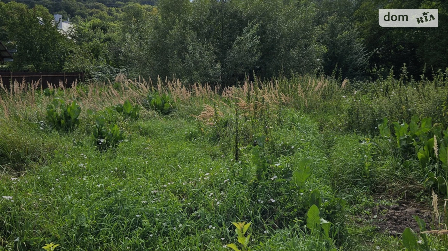 Сонячна долина Винники (Львов), цена: 25000 $ - фото 5