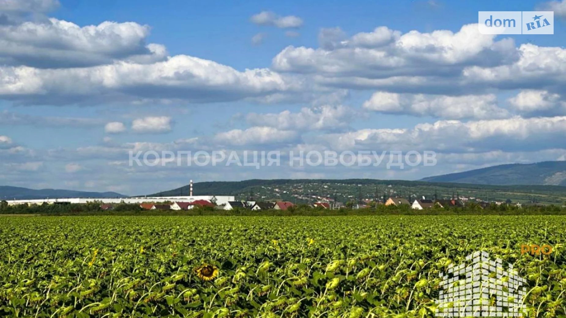 Продается земельный участок 263 соток в Закарпатской области, цена: 789000 $ - фото 4