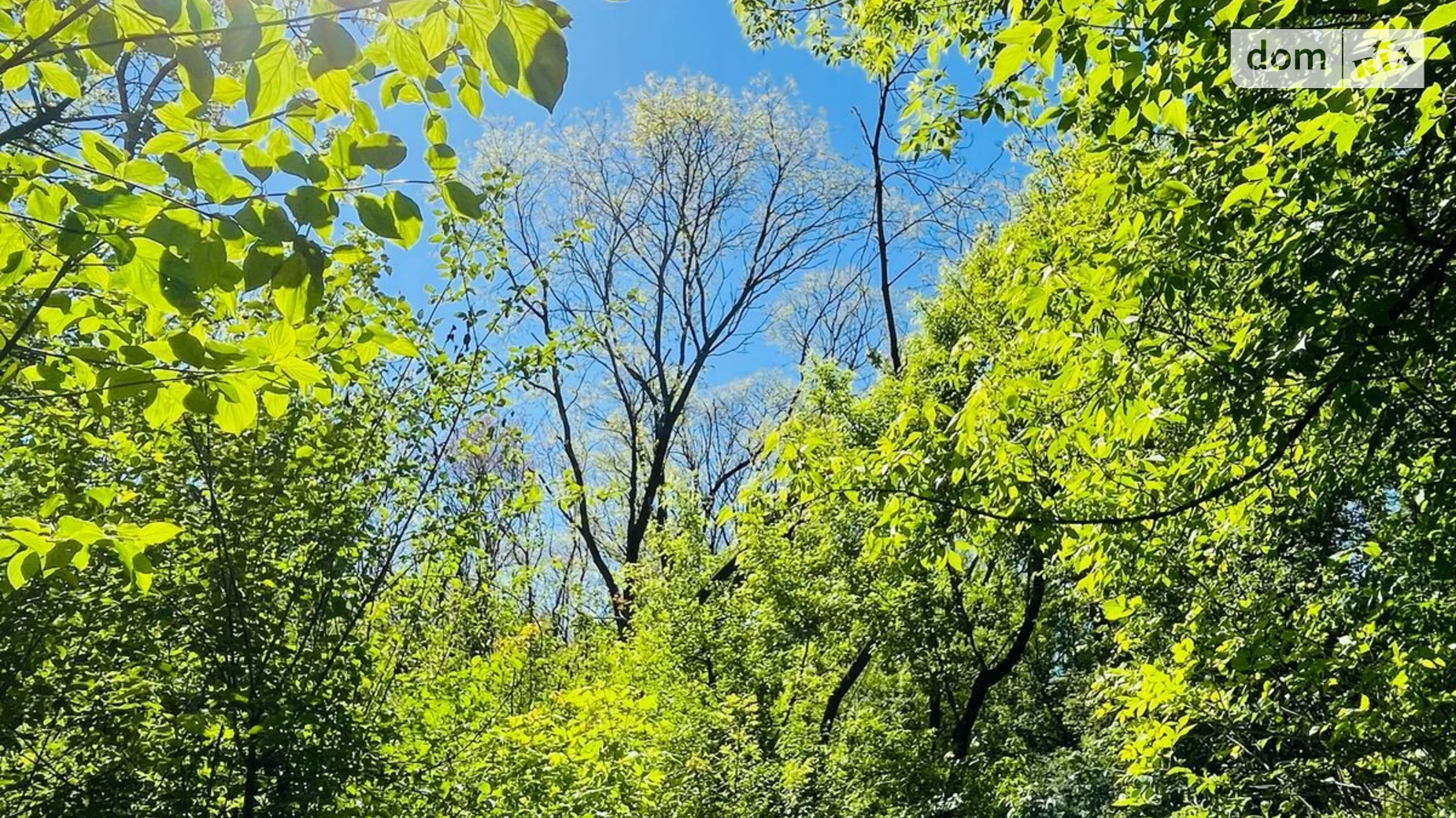 Продается одноэтажный дом 155 кв. м с балконом, цена: 180000 $ - фото 3