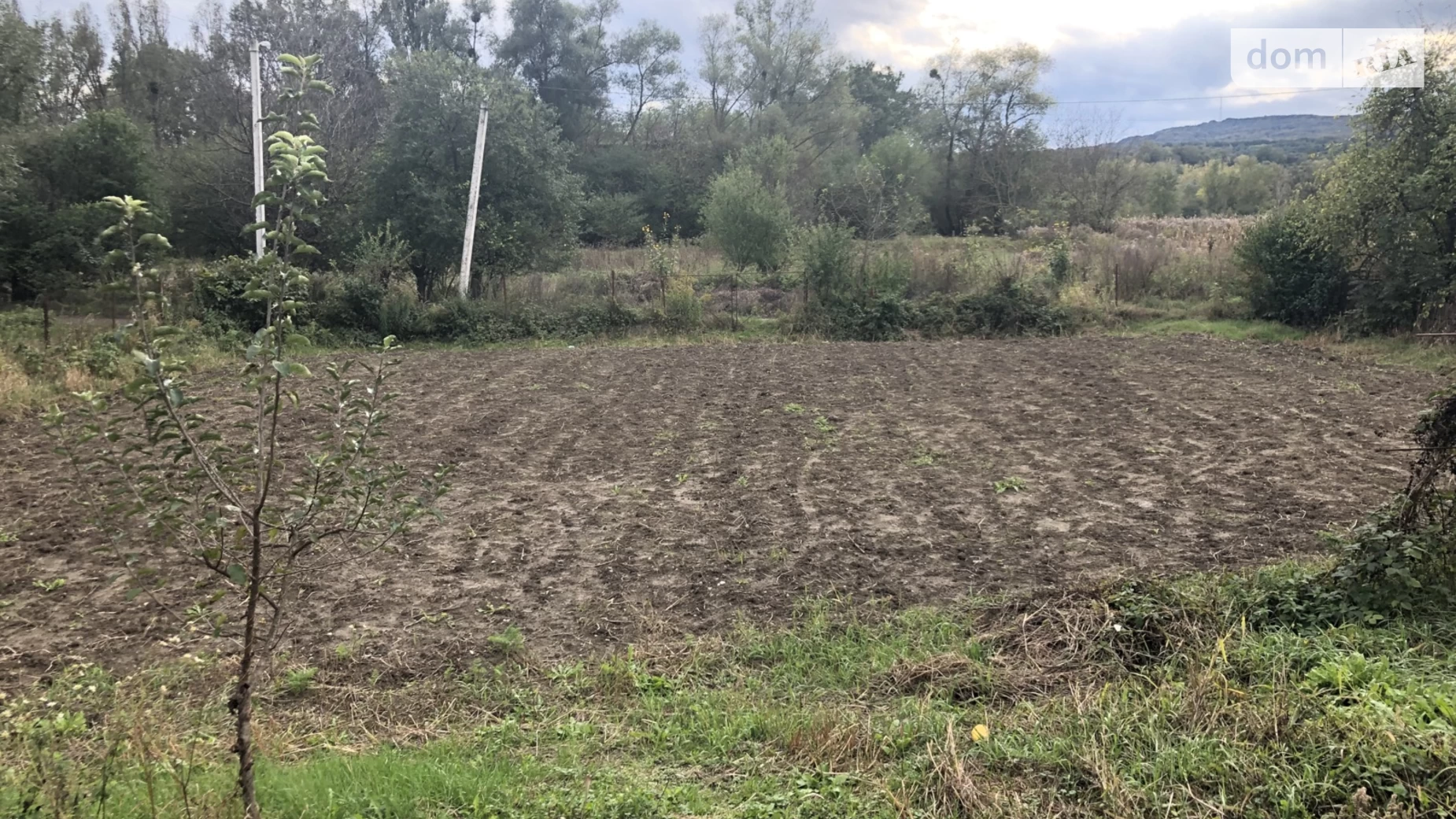 Продается земельный участок 10 соток в Черновицкой области, цена: 38000 $ - фото 2