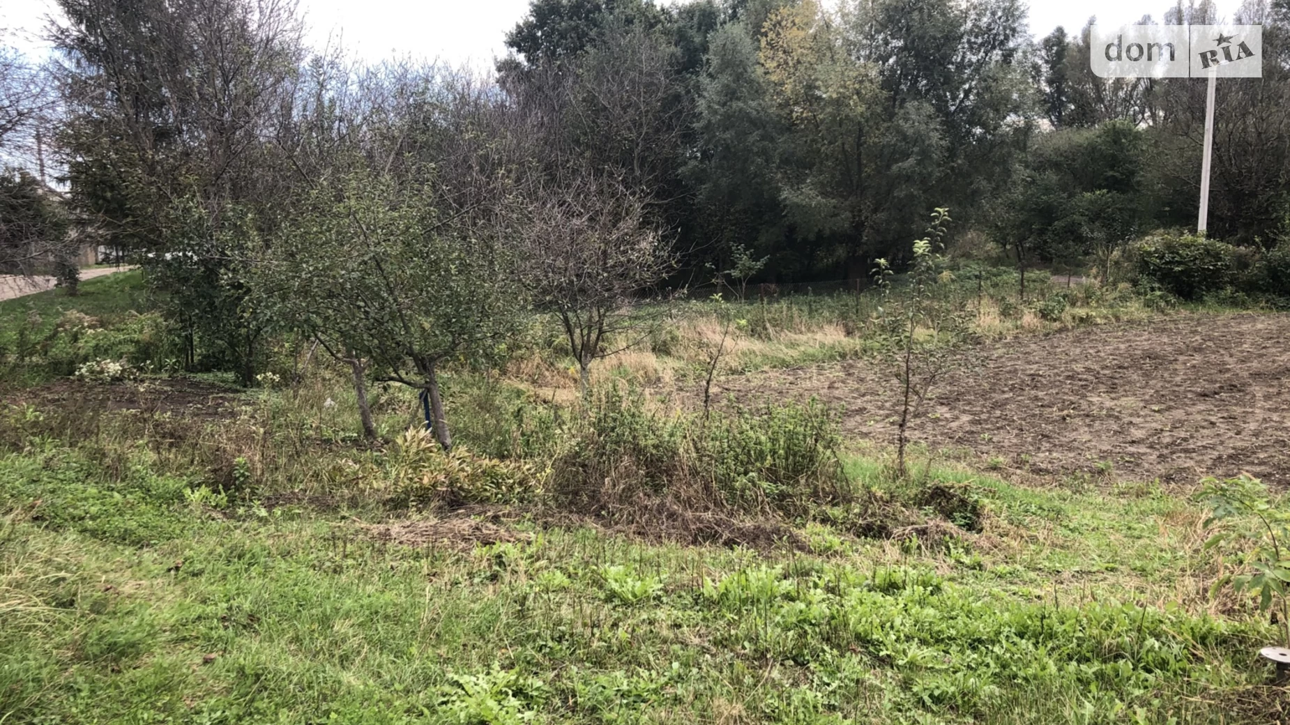 Продается земельный участок 10 соток в Черновицкой области, цена: 38000 $ - фото 4