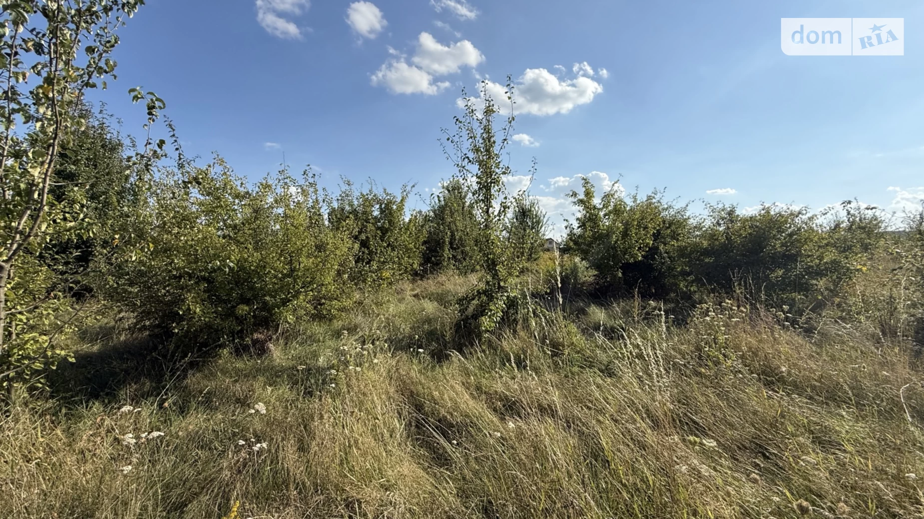 Продается земельный участок 10 соток в Винницкой области, цена: 20000 $ - фото 3