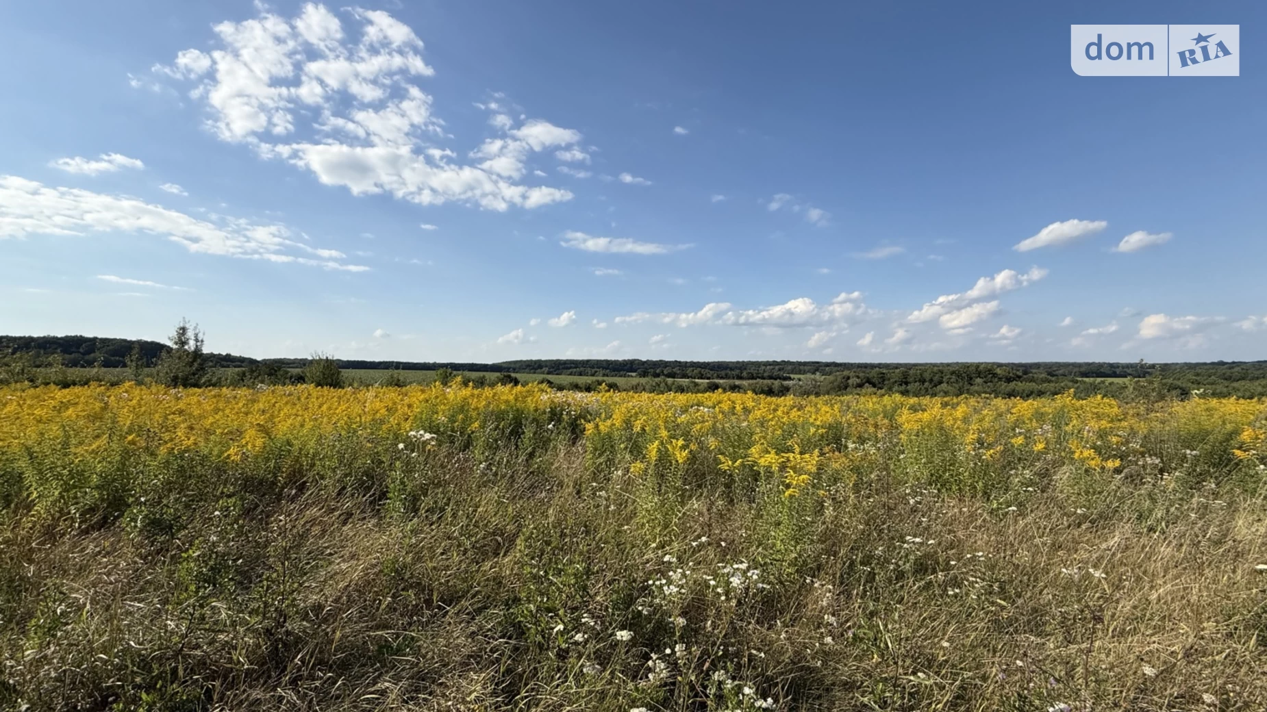ул. Г. Багабунта Зарванцы, цена: 40000 $ - фото 5