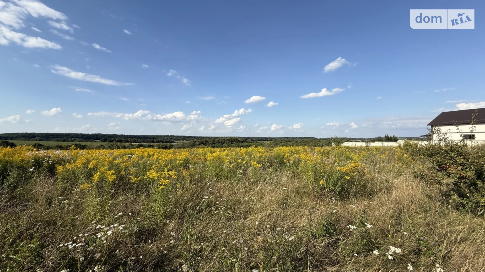 ул. Г. Багабунта Зарванцы, цена: 40000 $ - фото 4
