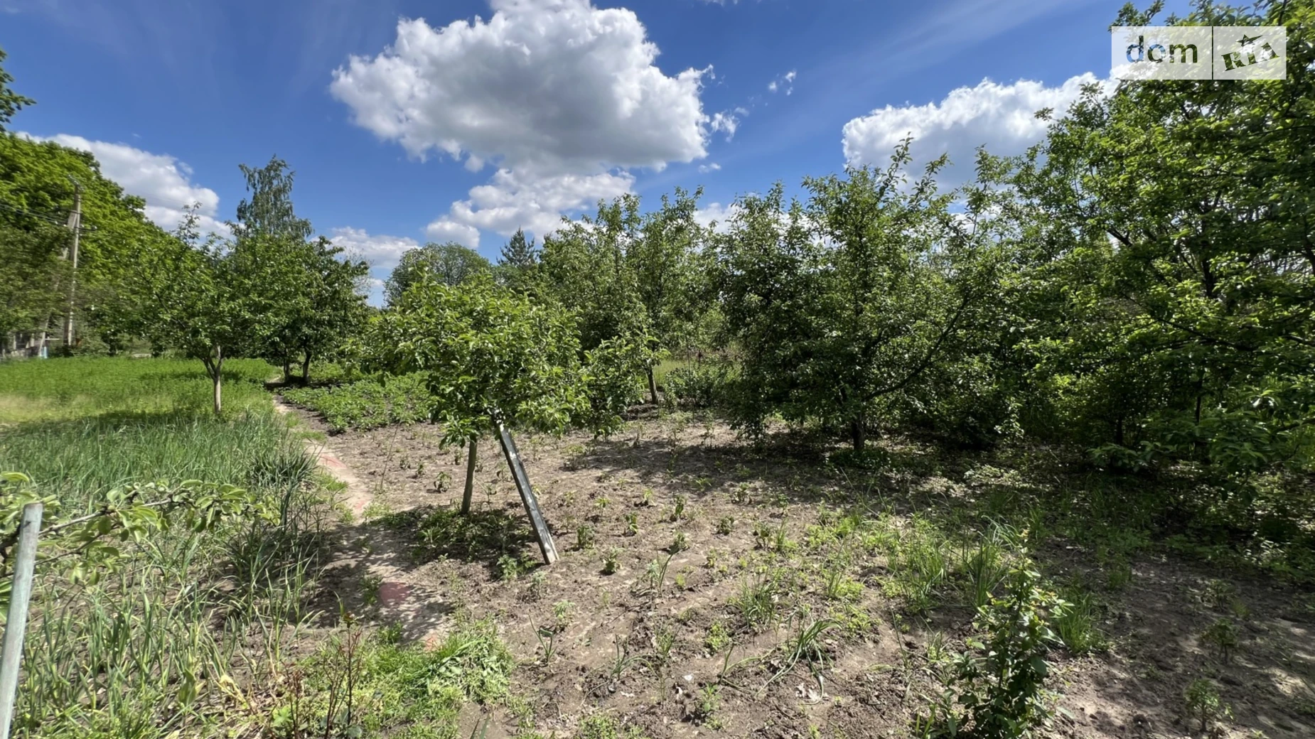 вулиця 54 -та Лінія Сальник, цена: 7500 $ - фото 5