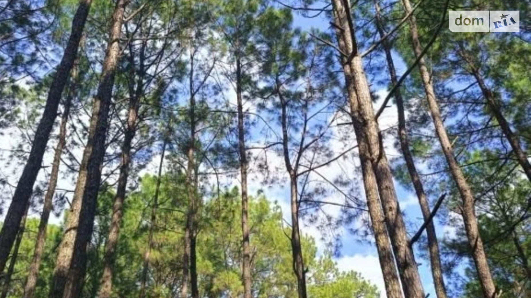 Продается земельный участок 6 соток в Житомирской области, цена: 1080000 $ - фото 2