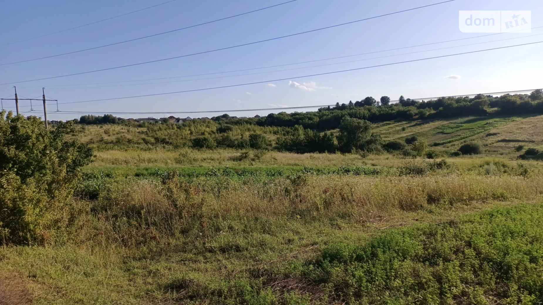 Ружична Хмельницкий, цена: 3000 $ - фото 3