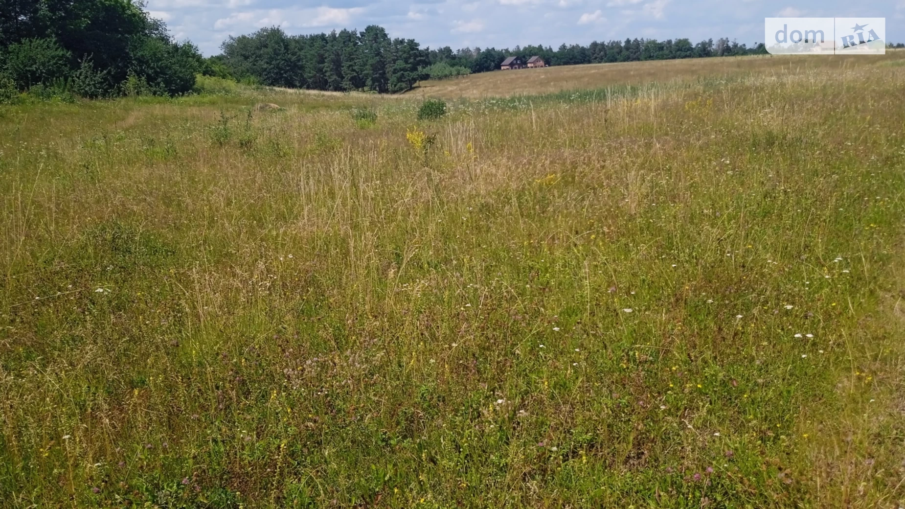 вулиця Тичини Стрижавка, цена: 14000 $ - фото 3