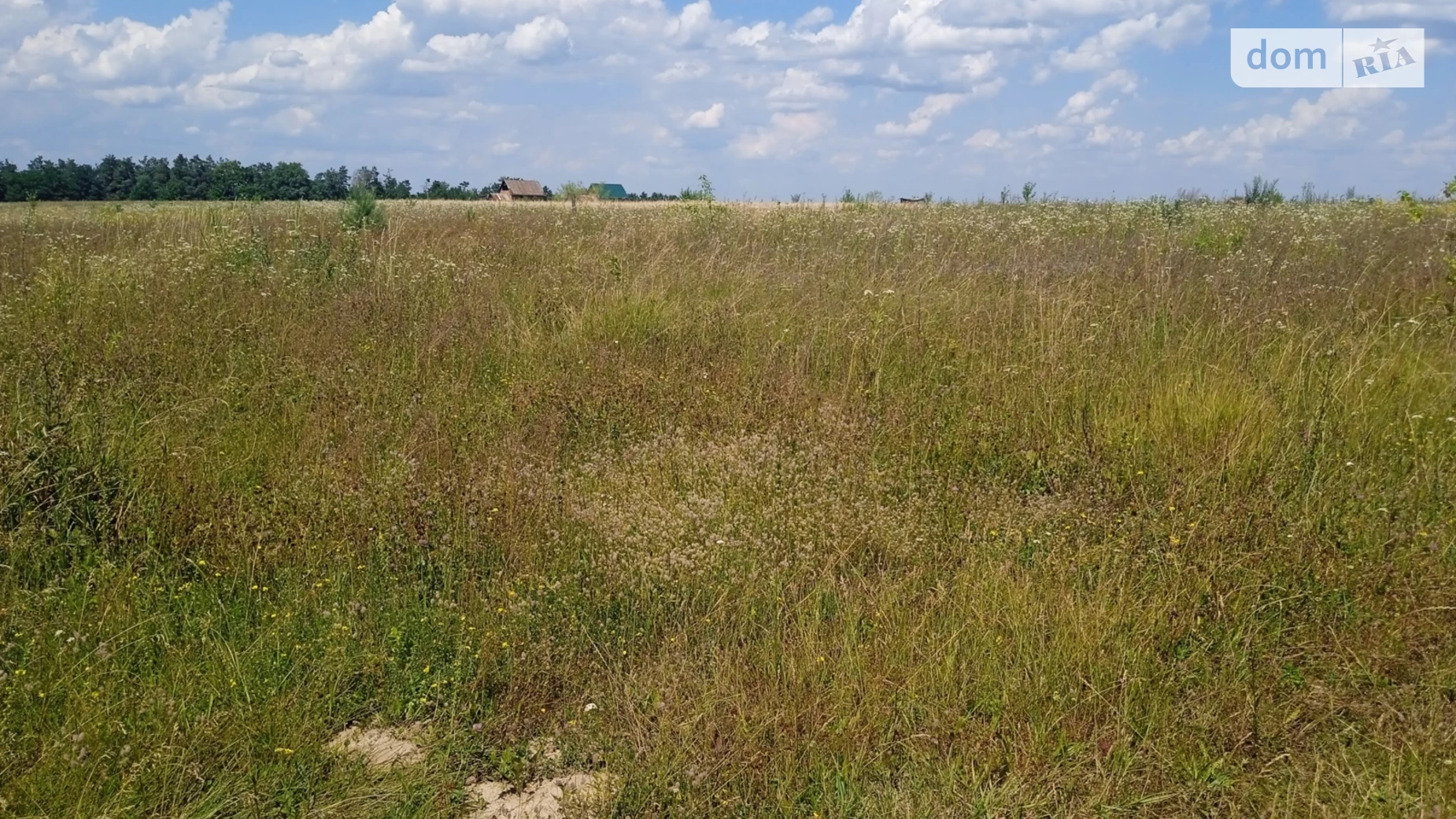 вулиця Тичини Стрижавка, цена: 14000 $ - фото 5
