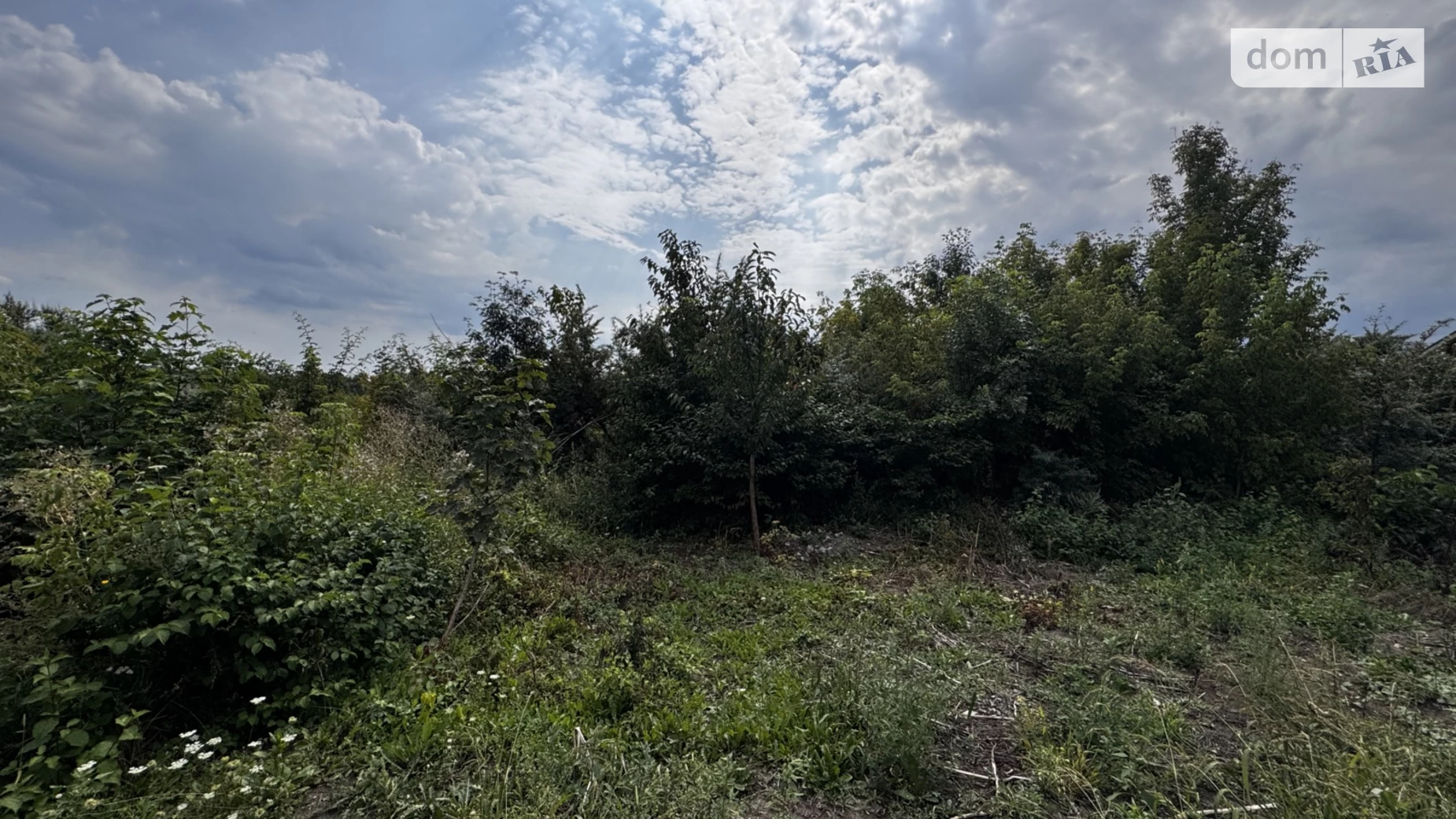 ул. Берёзовая Ружична Хмельницкий, цена: 12000 $ - фото 2