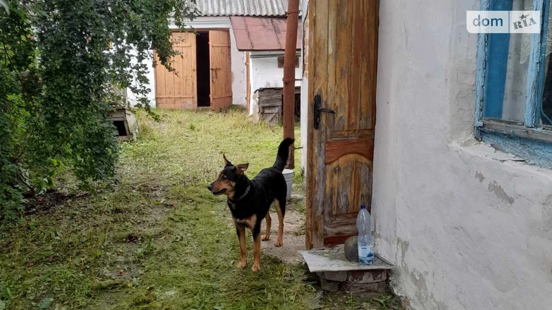 Продається одноповерховий будинок 65.9 кв. м з подвалом, цена: 14500 $ - фото 4