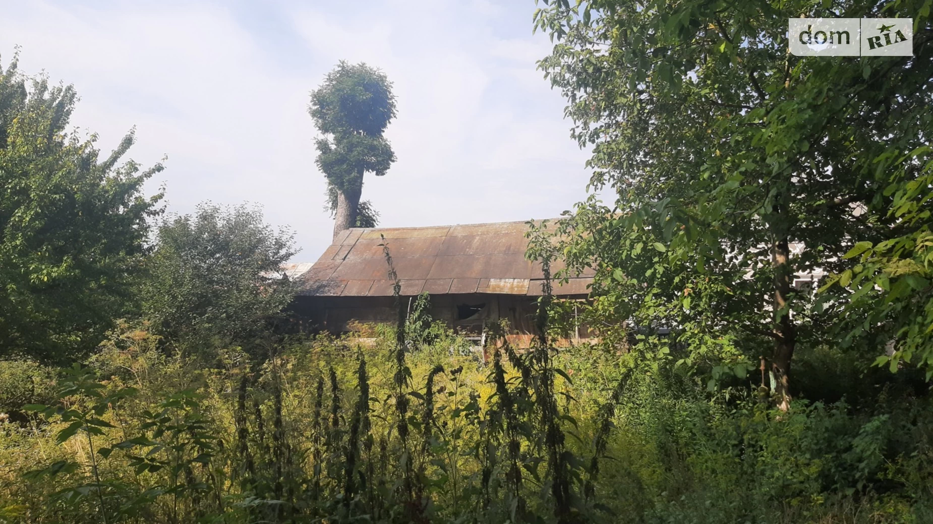 Продається одноповерховий будинок 51.3 кв. м з ділянкою, цена: 25000 $ - фото 5