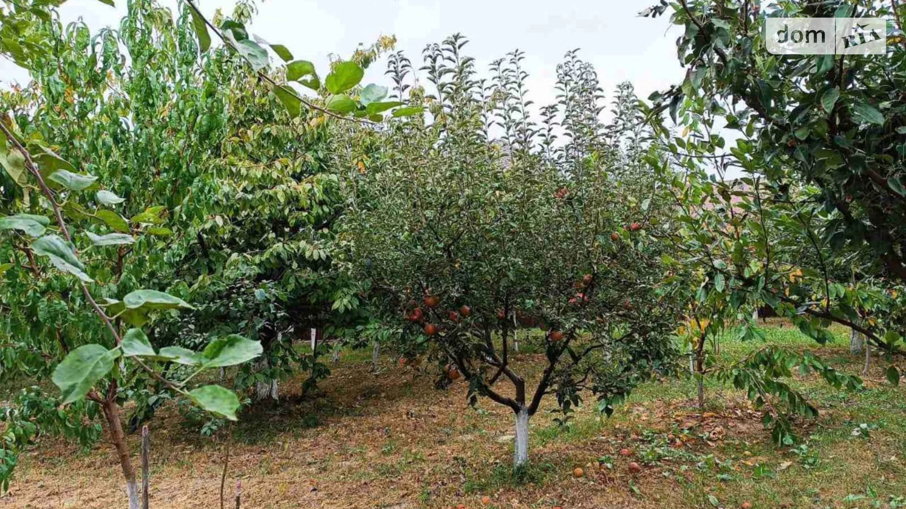 Продается одноэтажный дом 120.7 кв. м с участком, цена: 150000 $ - фото 2