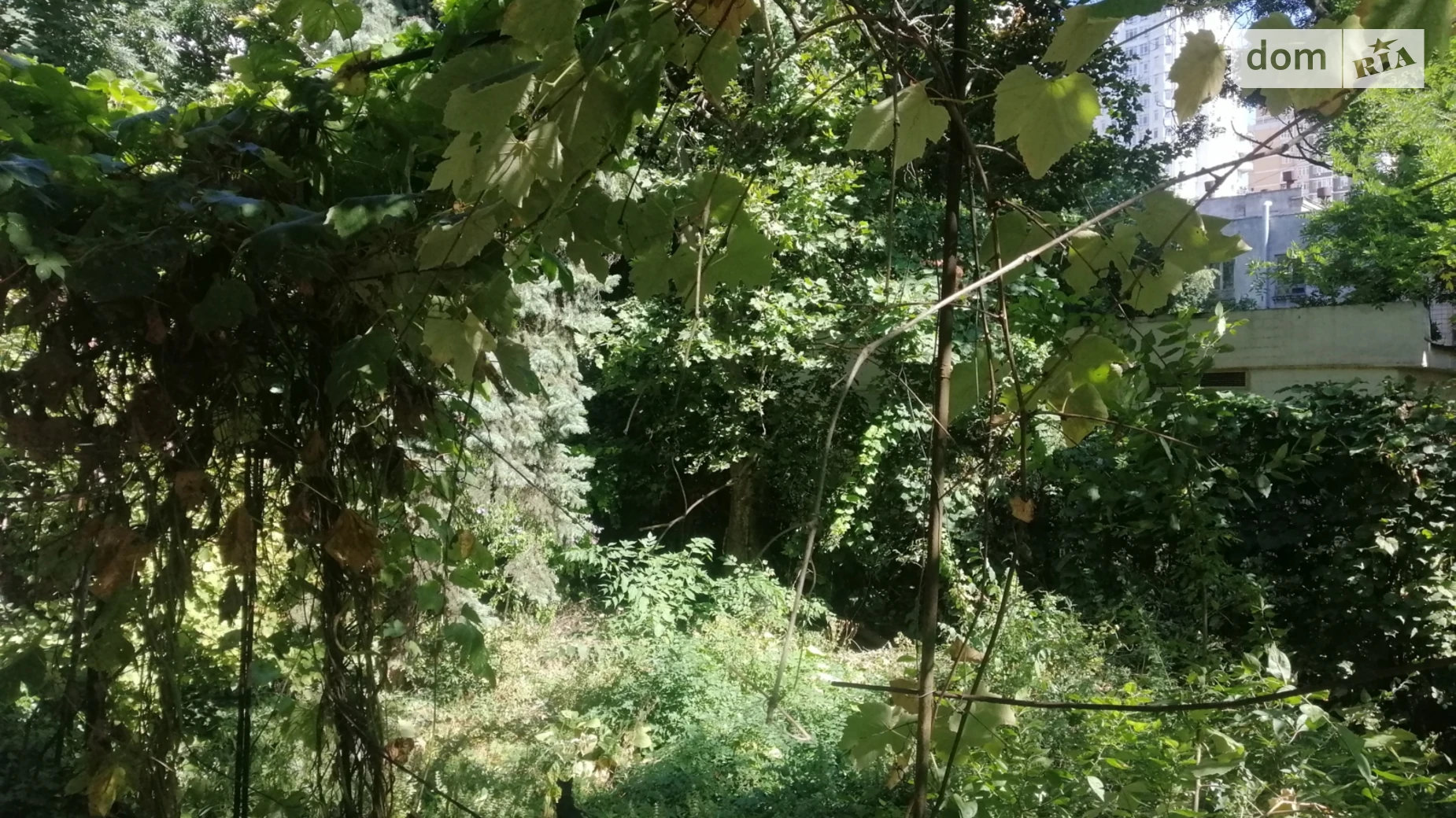 Продается 1-комнатная квартира 31 кв. м в Одессе, ул. Довженко - фото 2