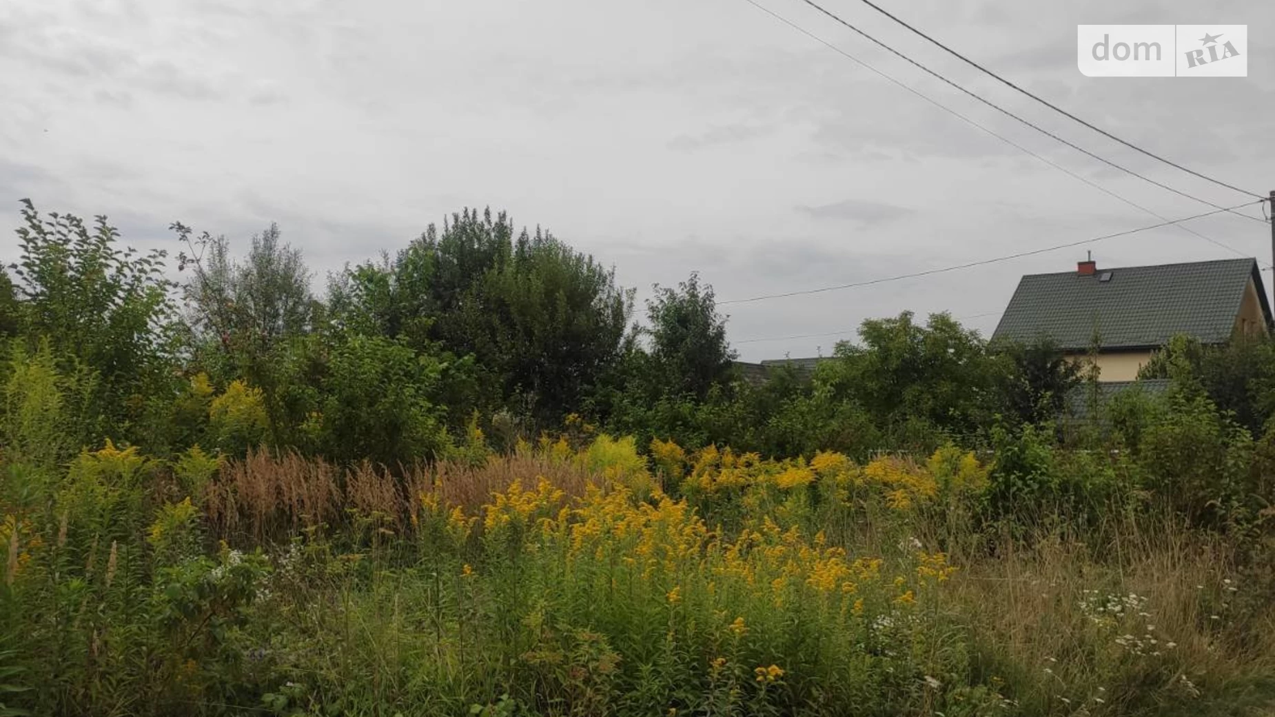 Продается земельный участок 9.92 соток в Львовской области, цена: 22000 $ - фото 3