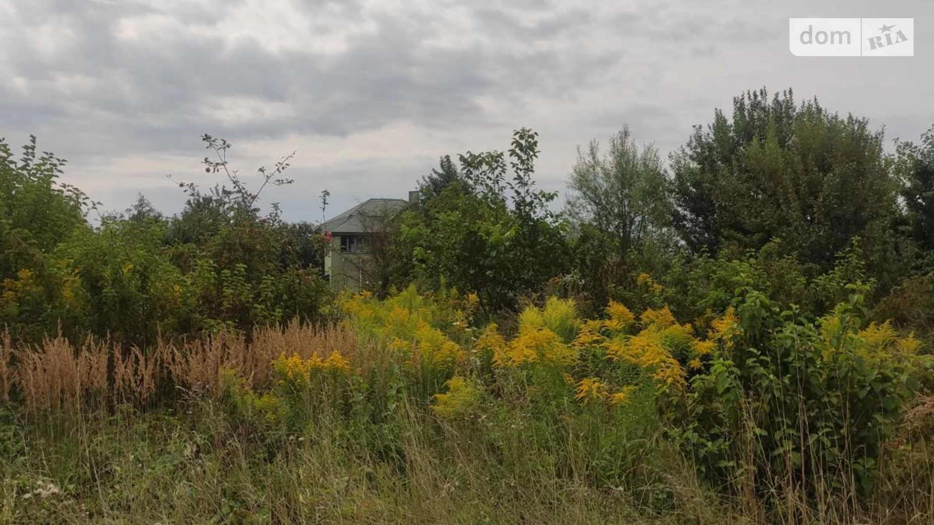 Продается земельный участок 9.92 соток в Львовской области, цена: 22000 $ - фото 4