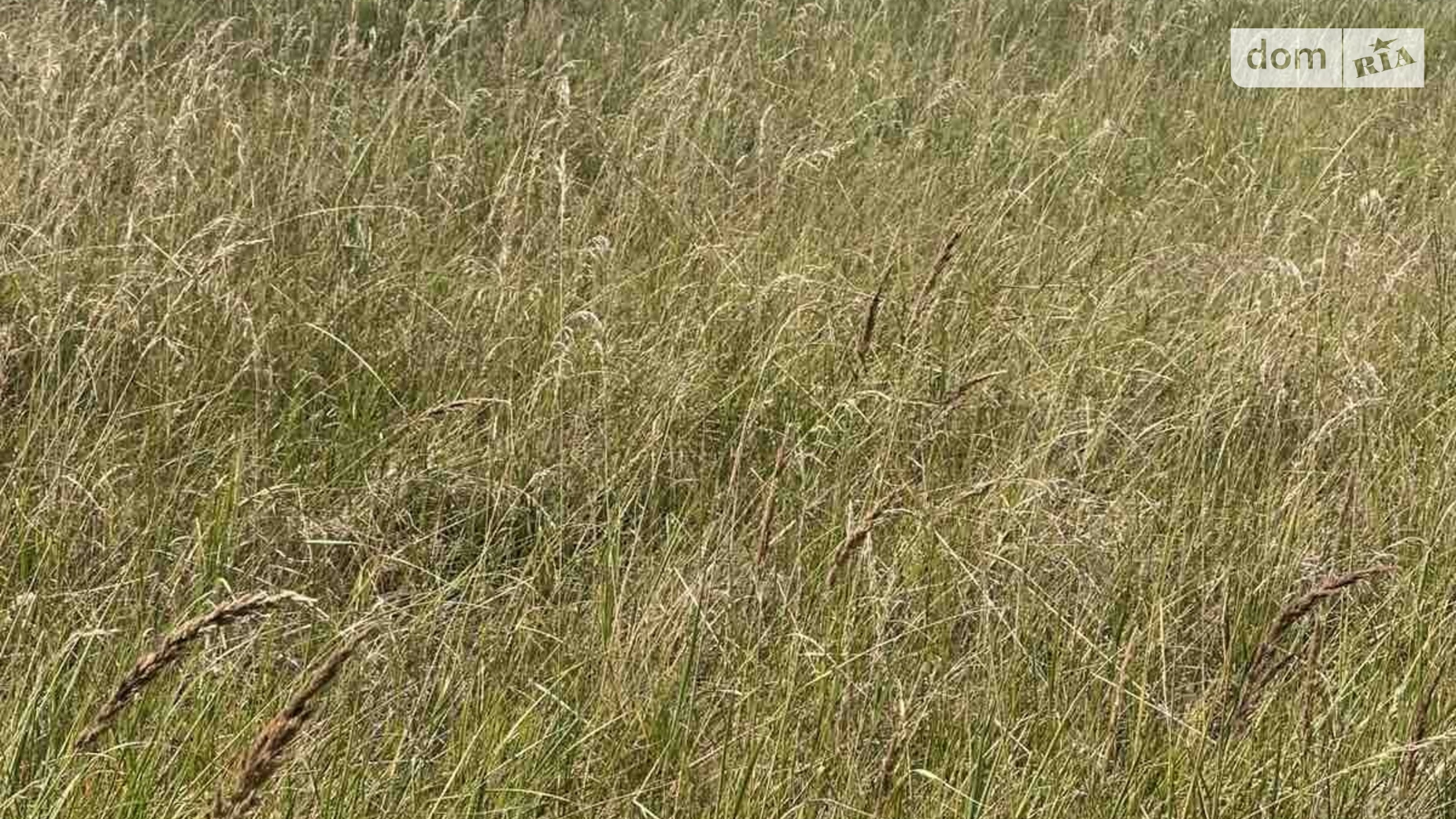 Продается земельный участок 10 соток в Днепропетровской области, цена: 8000 $ - фото 2