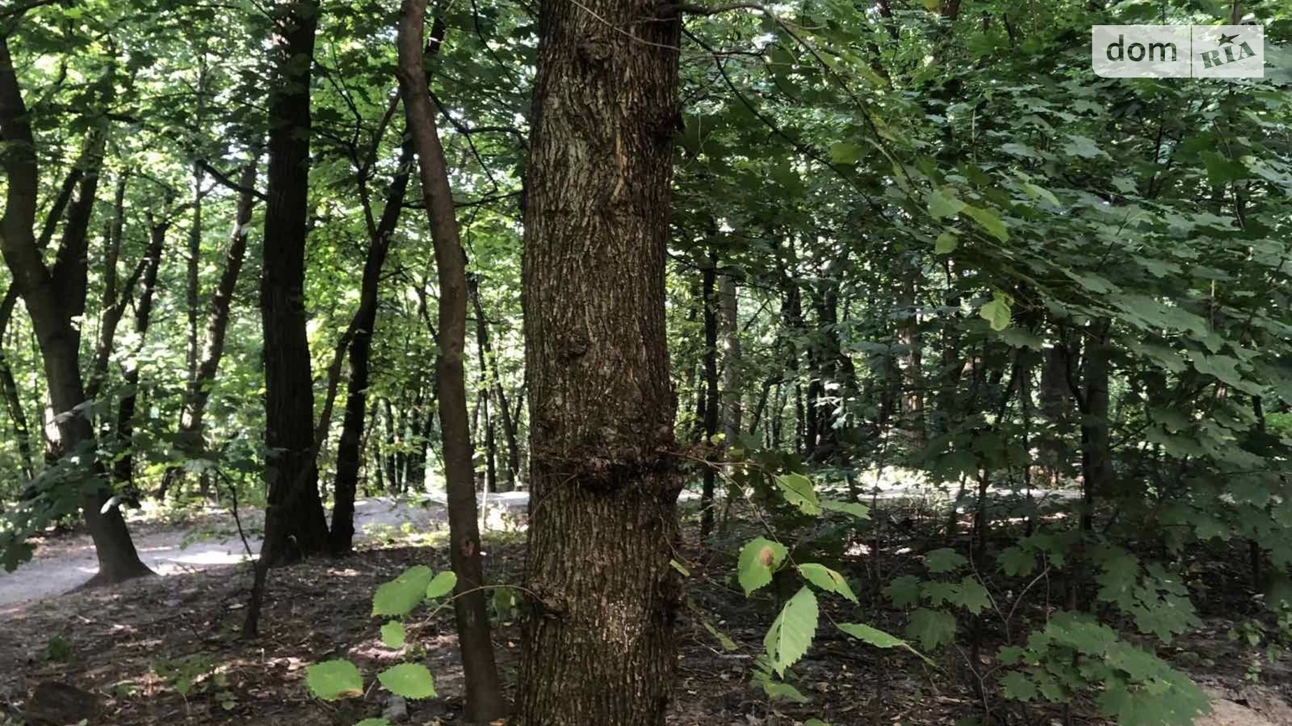 ул. Степана Руданского Сырец Киев, цена: 65000 $ - фото 4