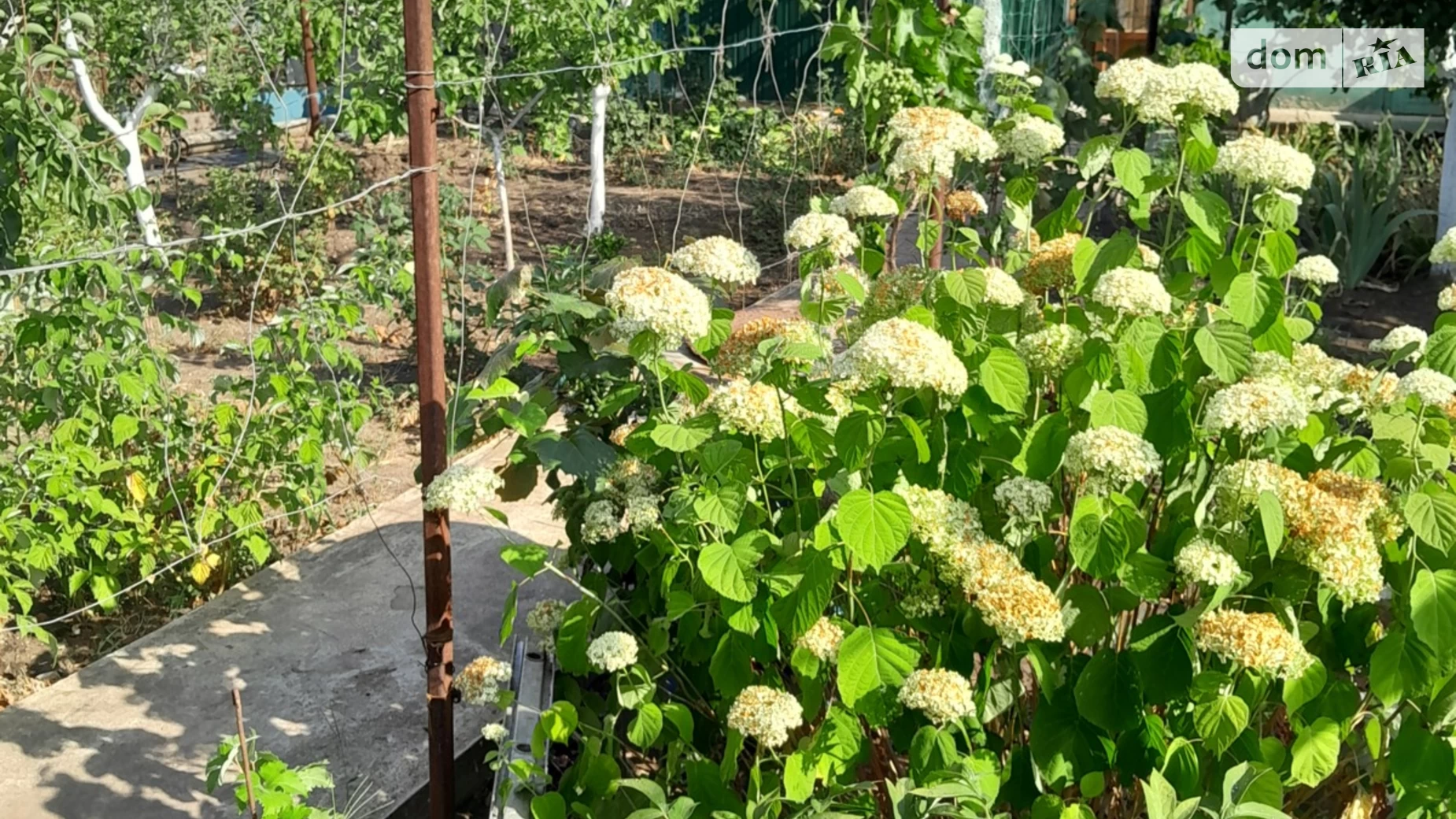 Продается одноэтажный дом 110 кв. м с мебелью, цена: 85000 $ - фото 4