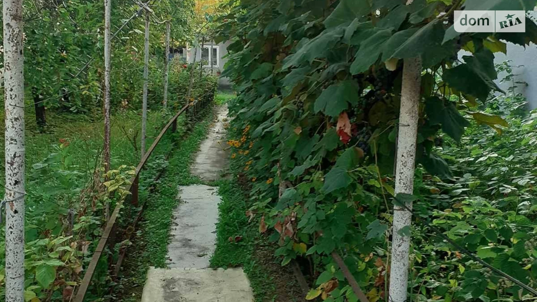 Продается земельный участок 8 соток в Закарпатской области, цена: 63000 $ - фото 4