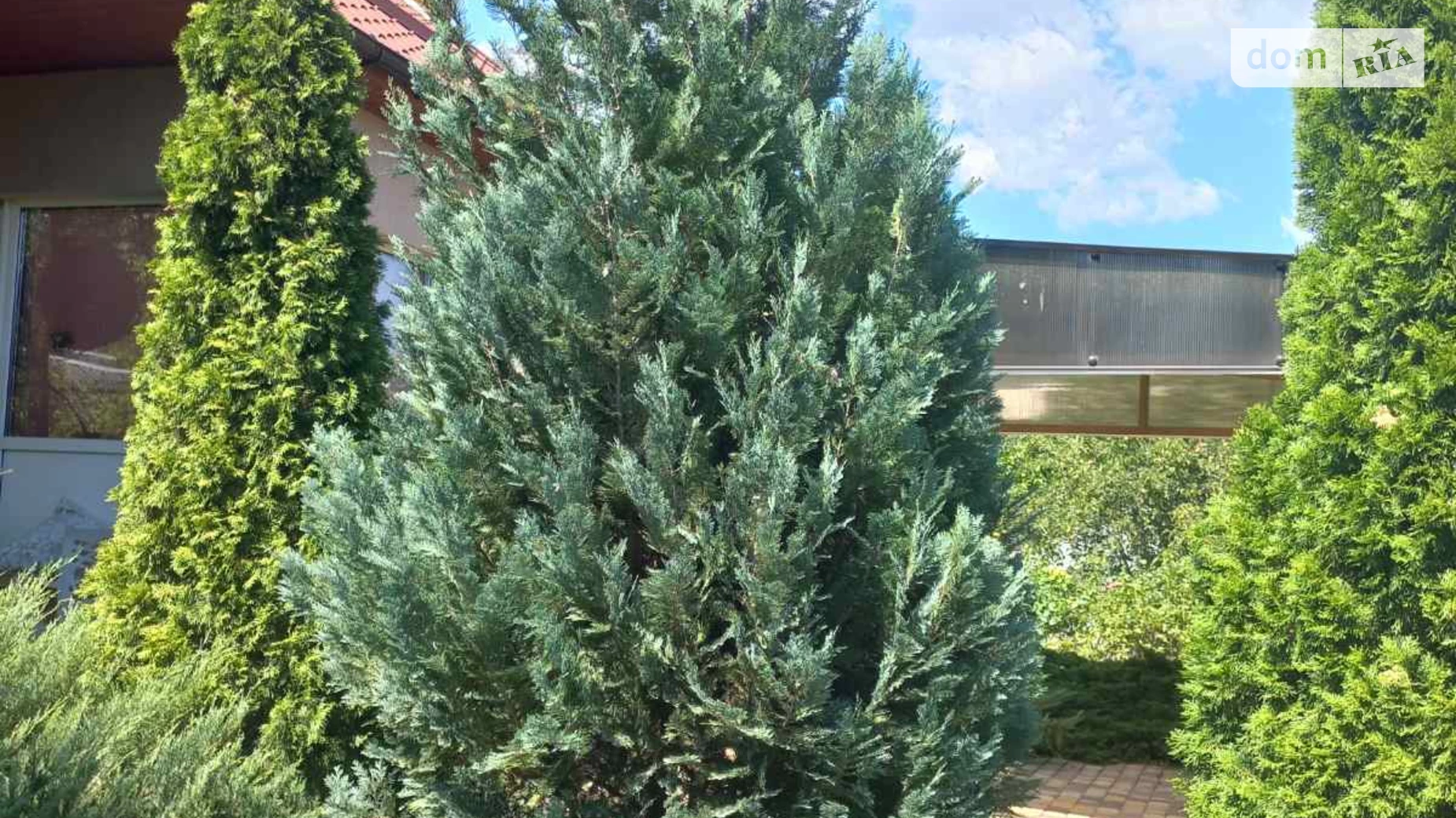 Продается одноэтажный дом 91.9 кв. м с подвалом, цена: 150000 $ - фото 4