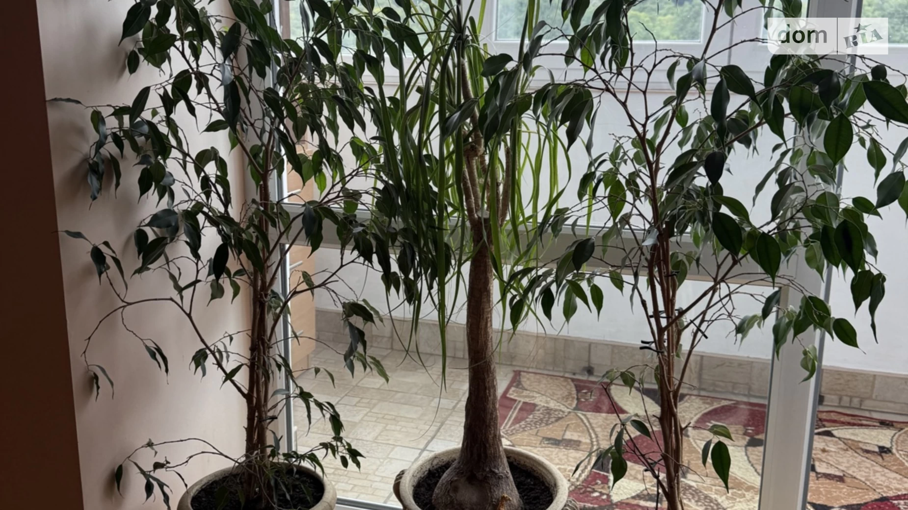 3-кімнатна квартира 100 кв. м у Тернополі, вул. Спадиста - фото 5