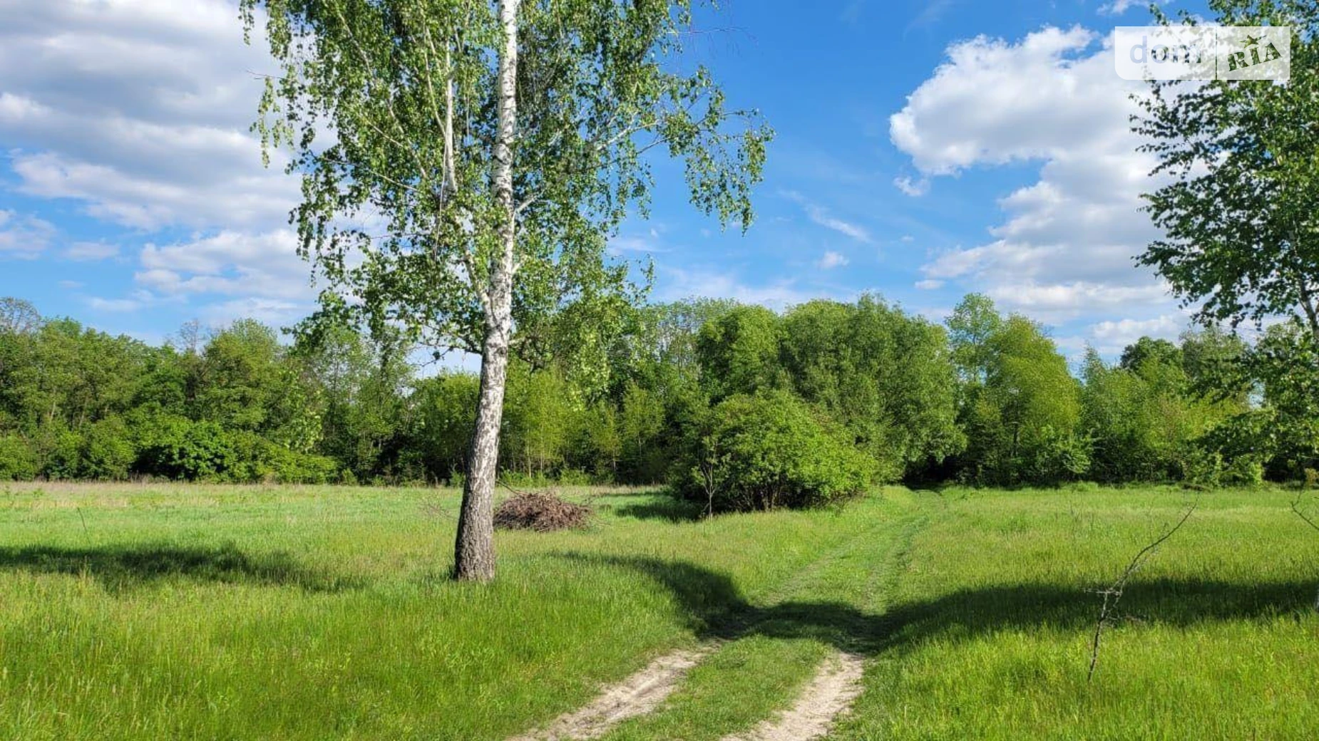 Продается земельный участок 43 соток в Киевской области, цена: 193500 $ - фото 4