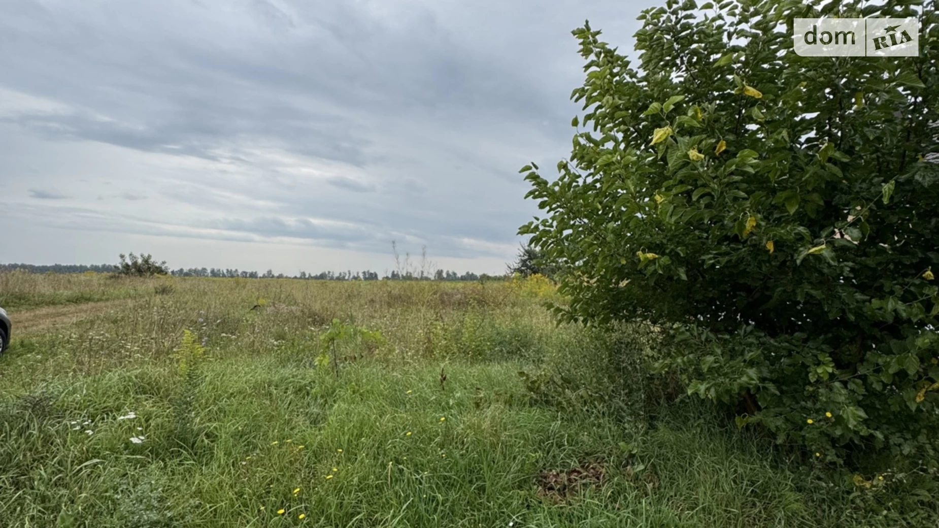 ул. Дружбы Березина, цена: 20000 $ - фото 5