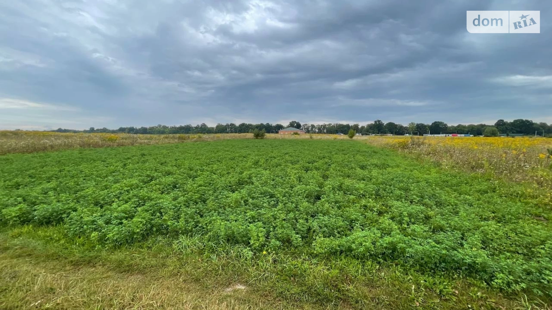 ул. Прибережная, 32 Ксаверовка, цена: 13000 $ - фото 4