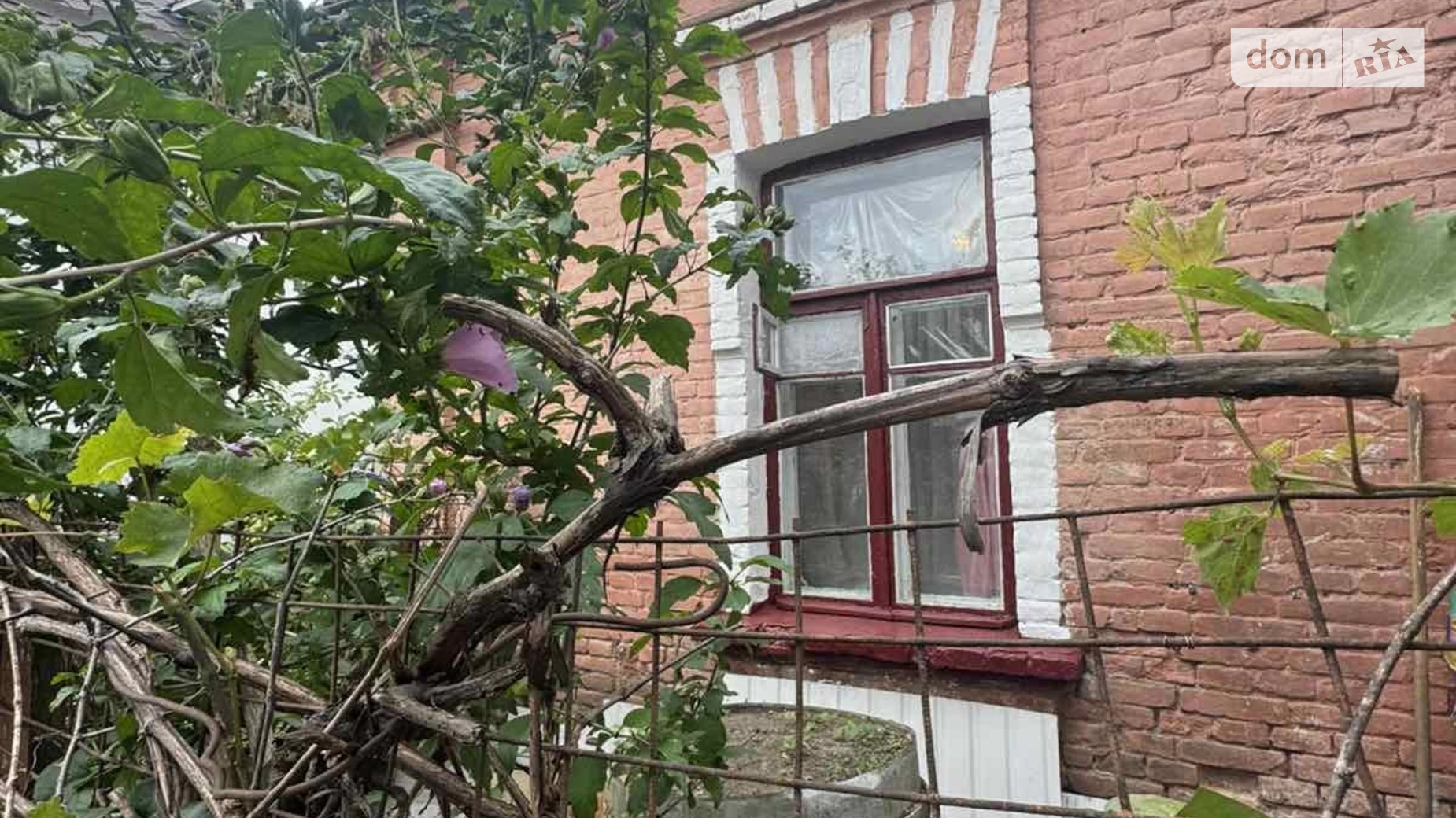 Продается часть дома 19.5 кв. м с садом, цена: 29000 $ - фото 4