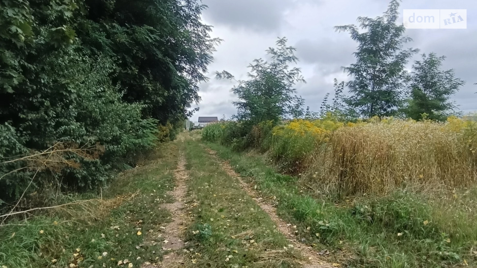 ул. Юбилейная Новая Бохоники, цена: 25000 $ - фото 3