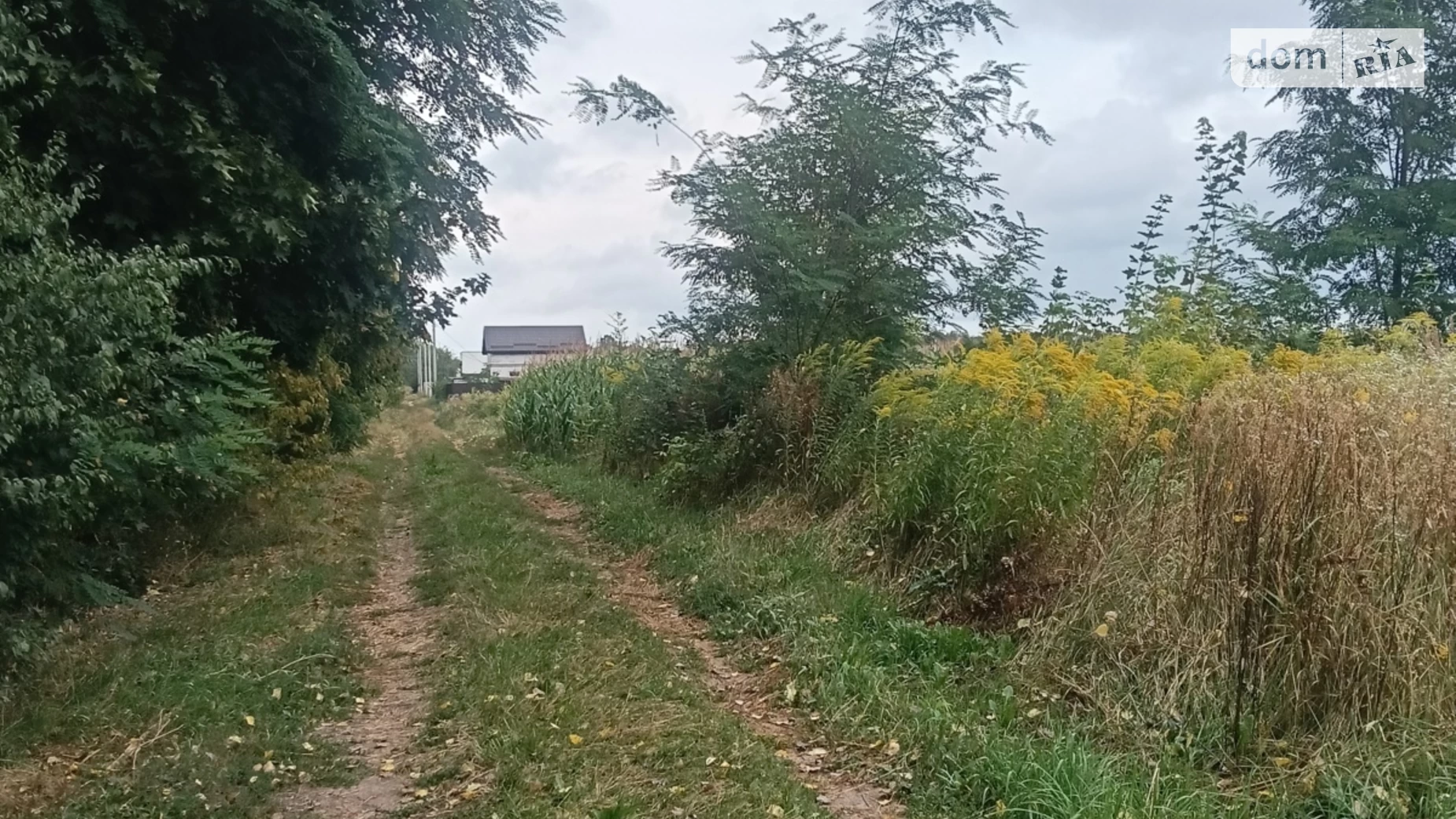 ул. Юбилейная Новая Бохоники, цена: 25000 $ - фото 4