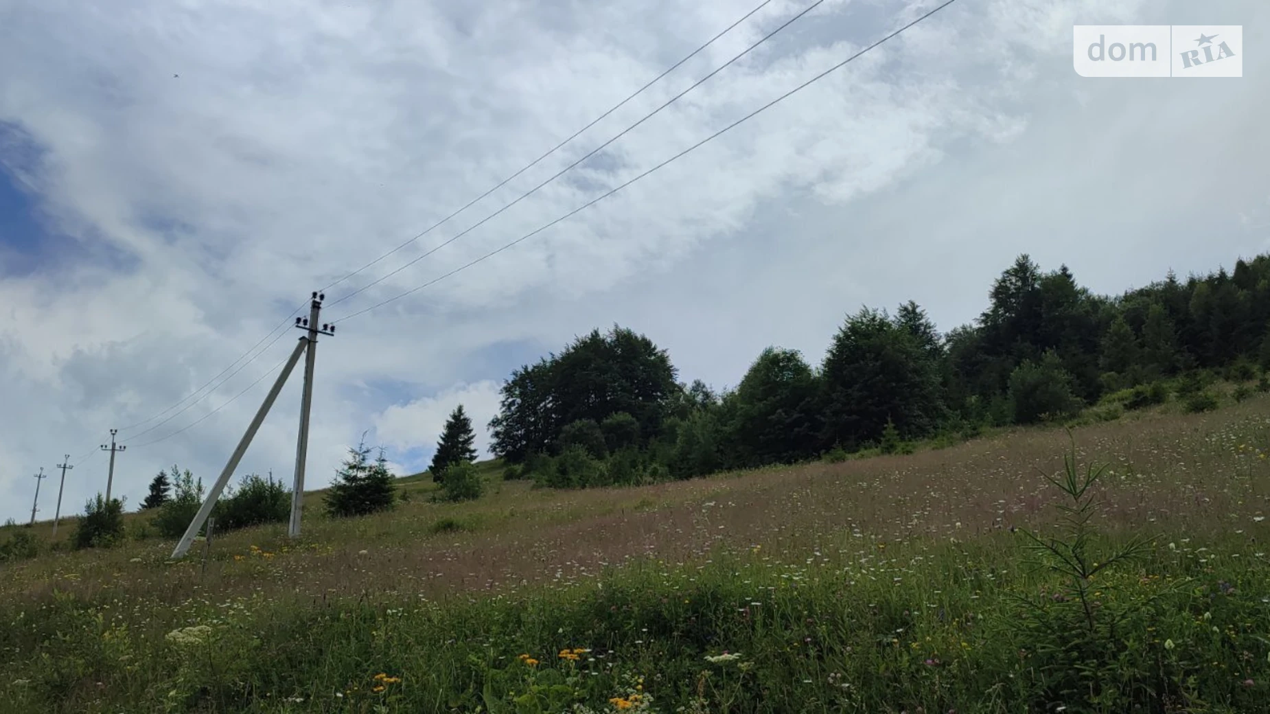 Продается земельный участок 133.92 соток в Ивано-Франковской области, цена: 113832 $ - фото 4