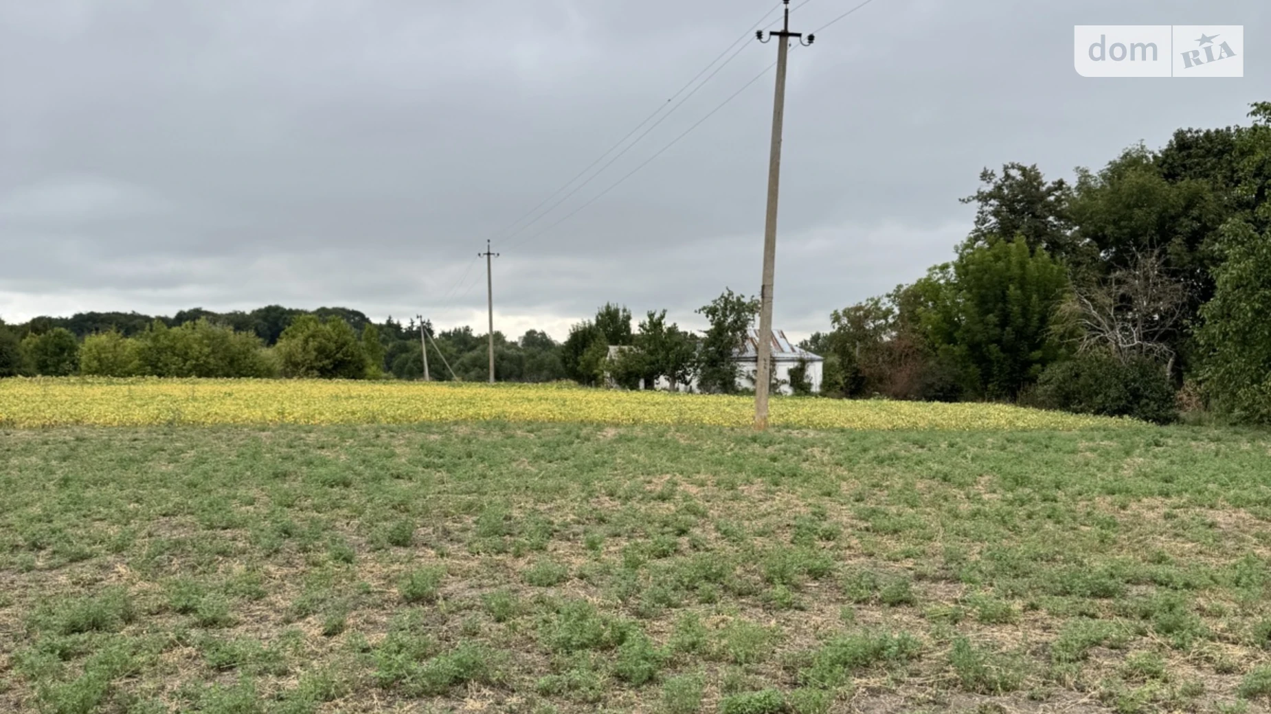 Продається одноповерховий будинок 87.6 кв. м з садом, цена: 10000 $ - фото 5