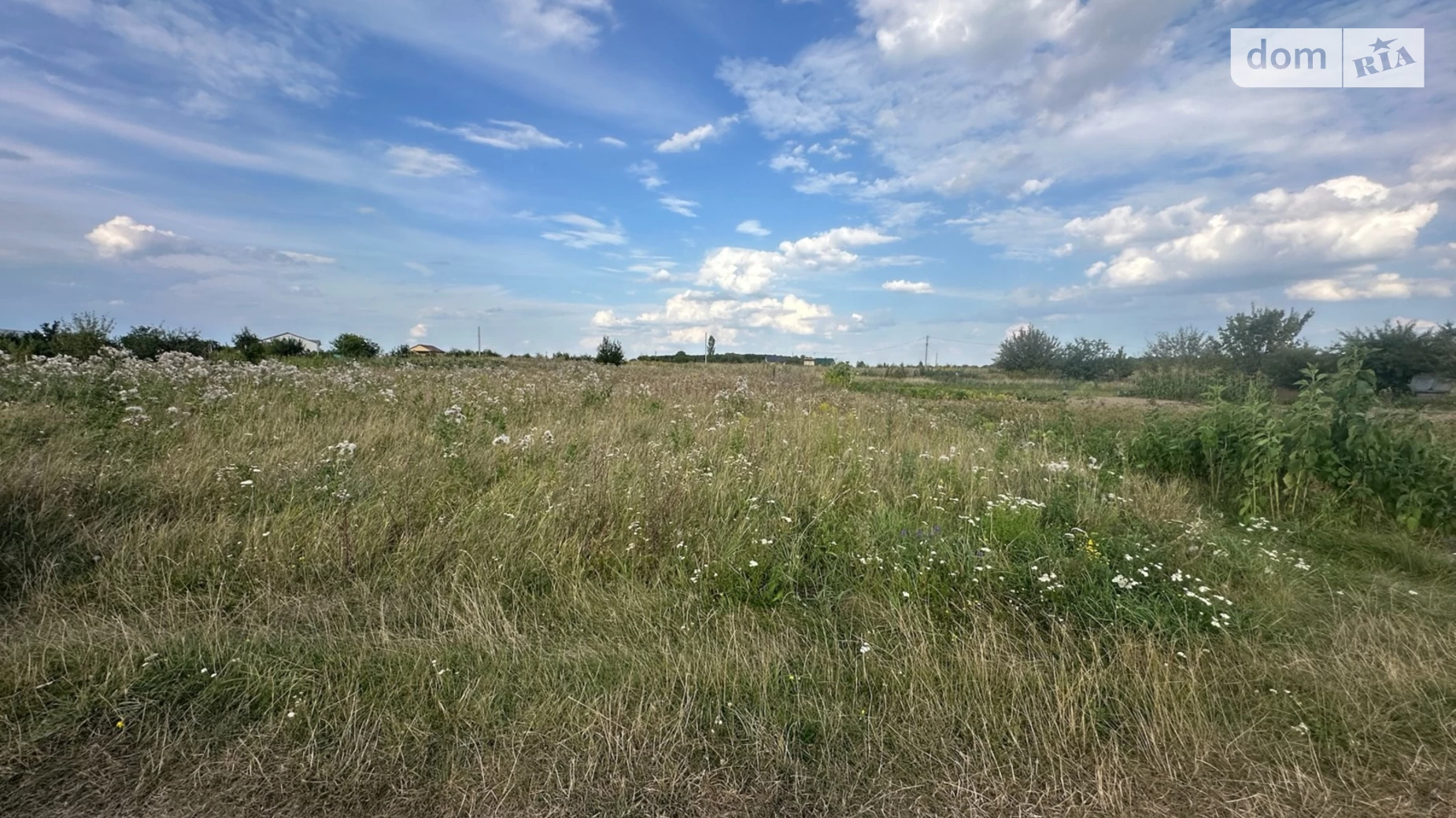 СДТ Писарівський Щитки, цена: 12500 $ - фото 2