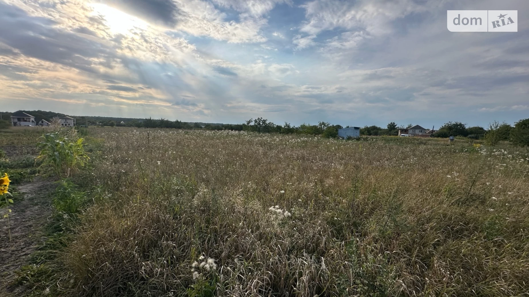 СДТ Писарівський Щитки, цена: 12500 $ - фото 4