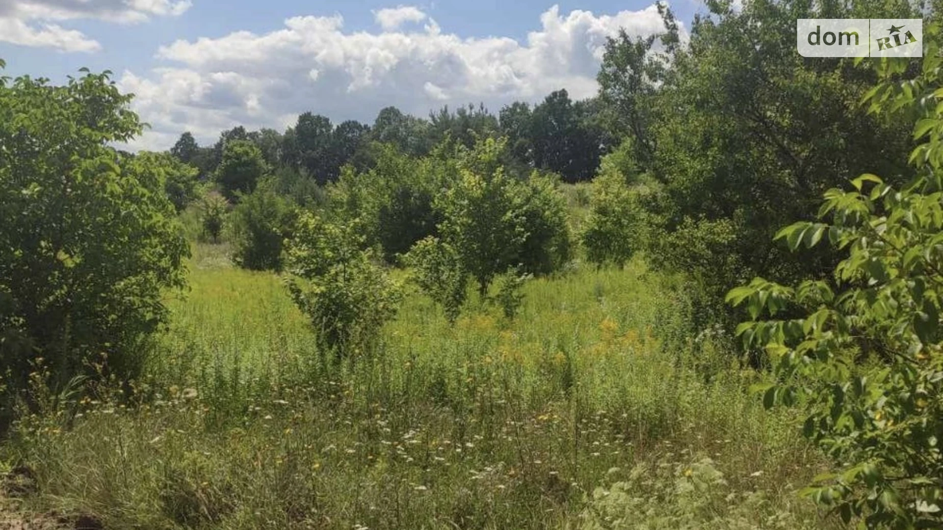 ул. Садовая Бохоники, цена: 14800 $ - фото 3