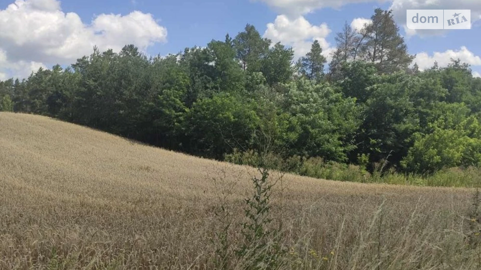 ул. Садовая Бохоники, цена: 14800 $ - фото 4