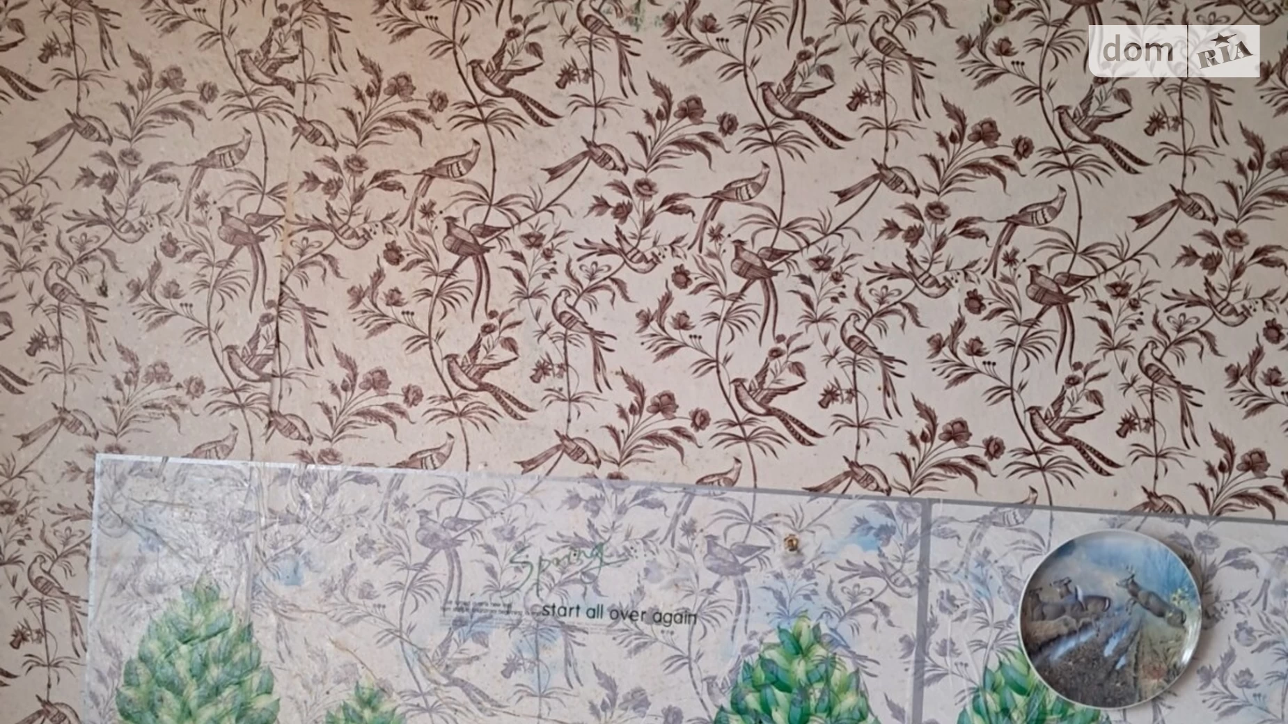 Продается 2-комнатная квартира 52.1 кв. м в Солоницевке, ул. Энергетическая - фото 2