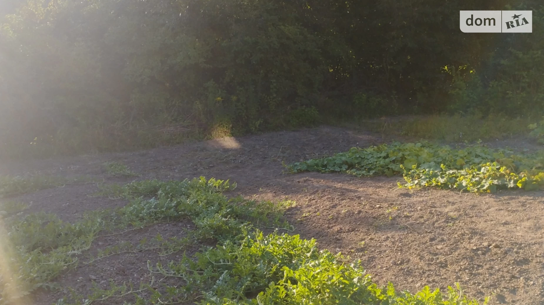 Продается земельный участок 6 соток в Винницкой области, цена: 18000 $ - фото 5