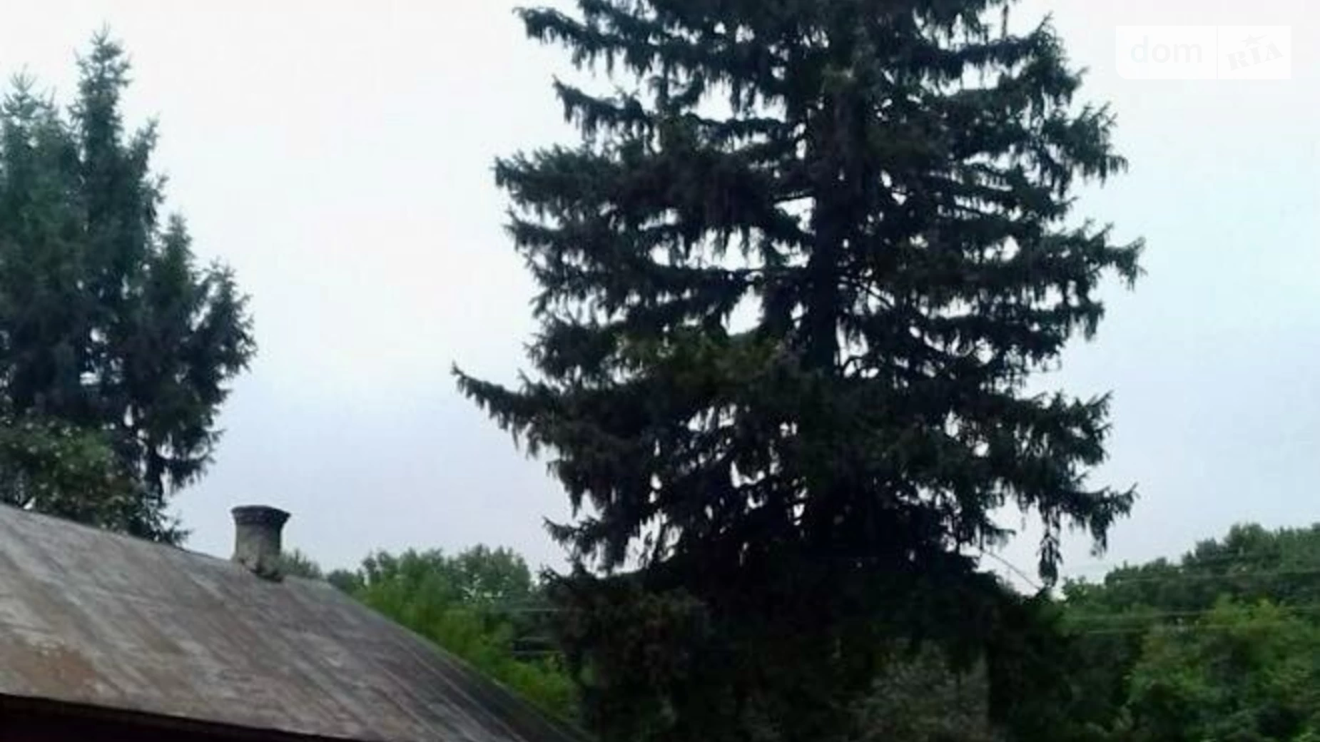 Продается одноэтажный дом 90 кв. м с садом, цена: 6500 $ - фото 2