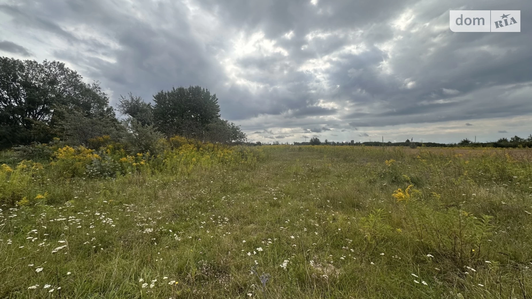 Продается земельный участок 25 соток в Житомирской области, цена: 5200 $ - фото 5