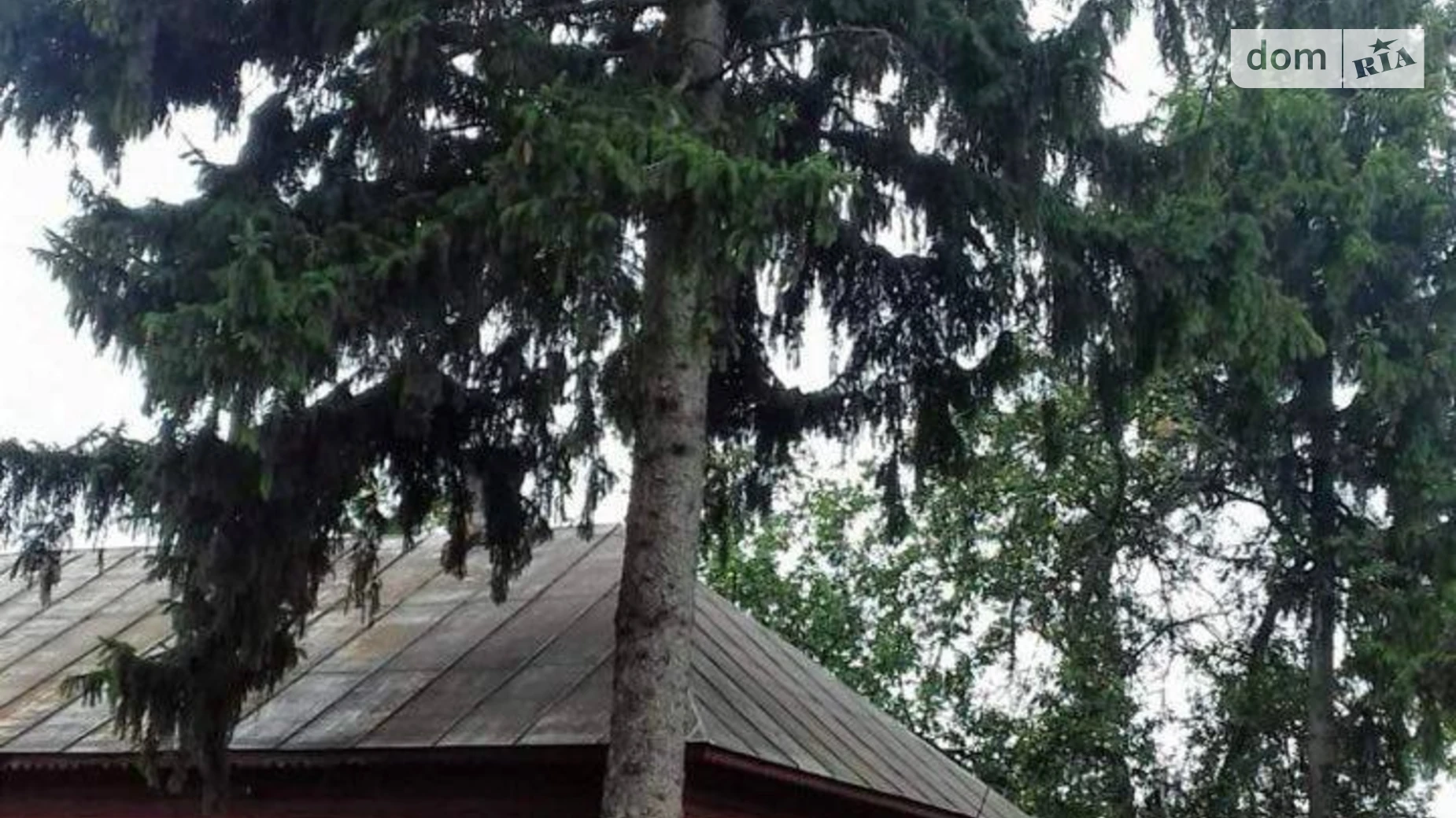 Продается одноэтажный дом 90 кв. м с садом, цена: 6500 $ - фото 5