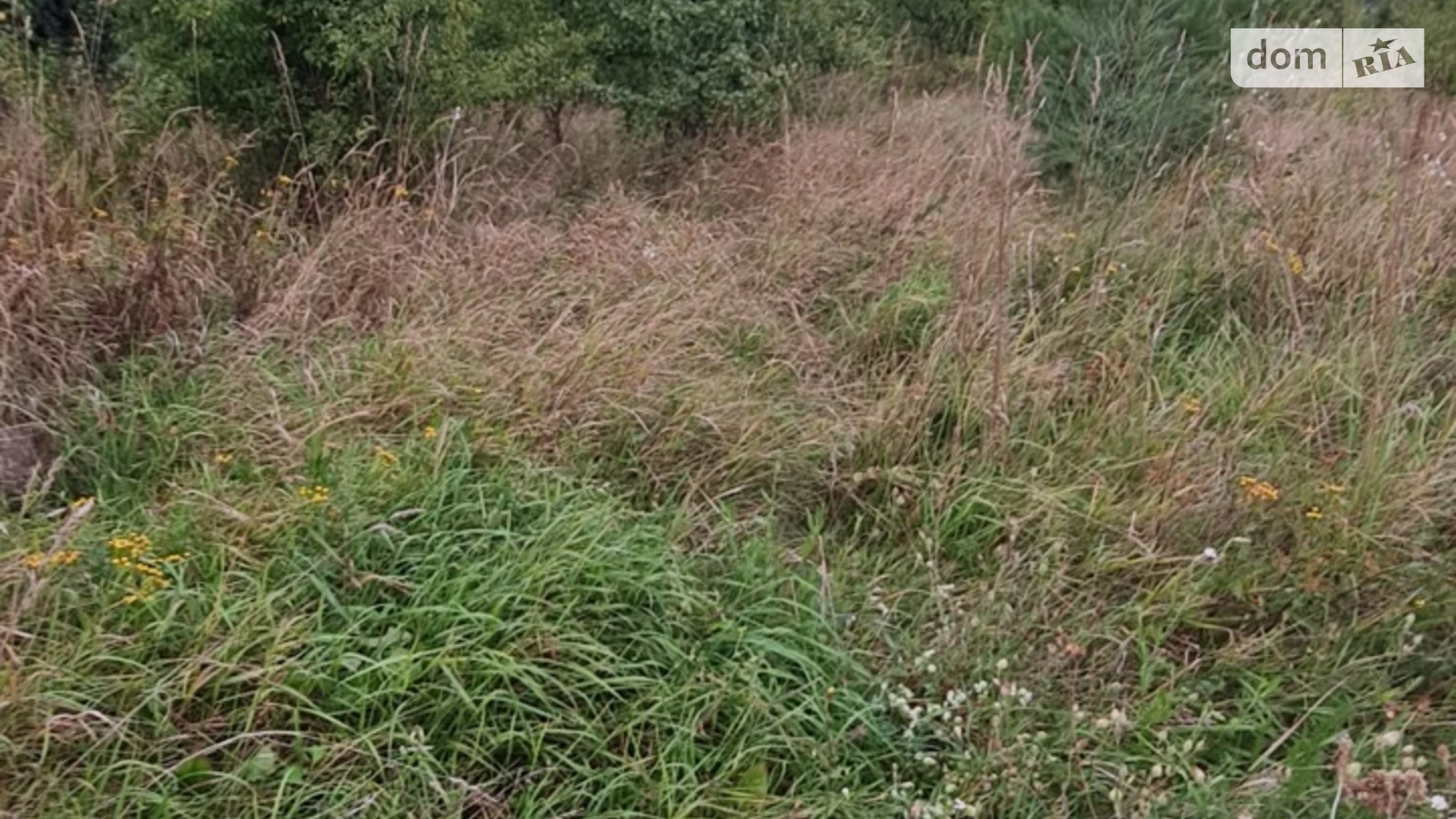 Продается земельный участок 18 соток в Винницкой области, цена: 8100 $ - фото 5