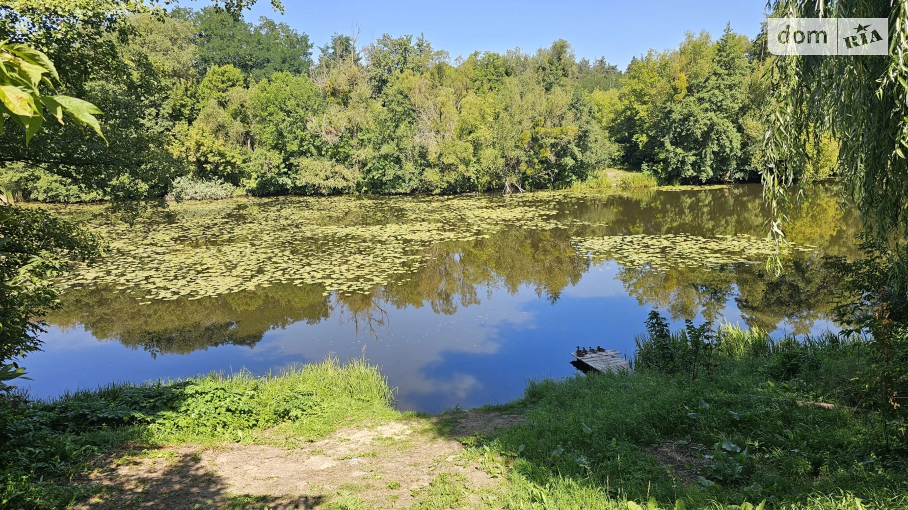 вулиця Росьова Глыбочка, цена: 85000 $ - фото 5