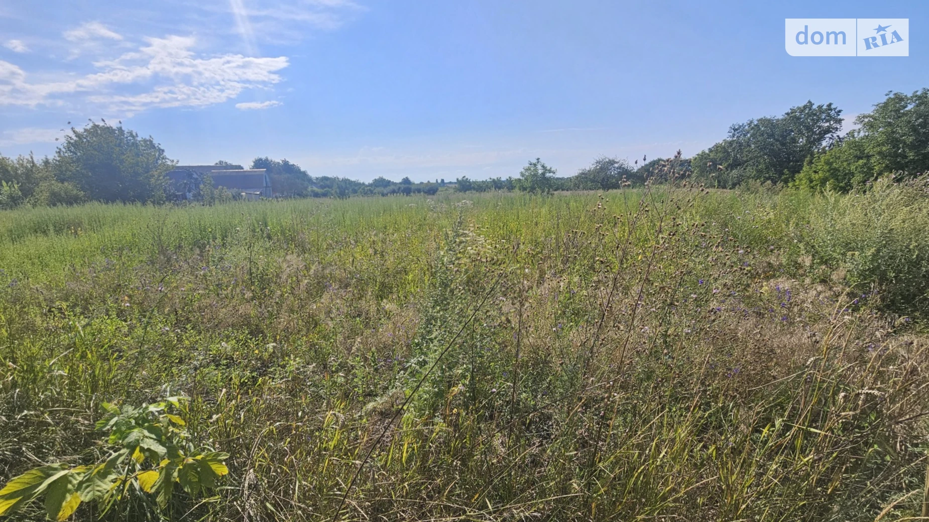 вулиця Росьова Глыбочка, цена: 85000 $ - фото 3